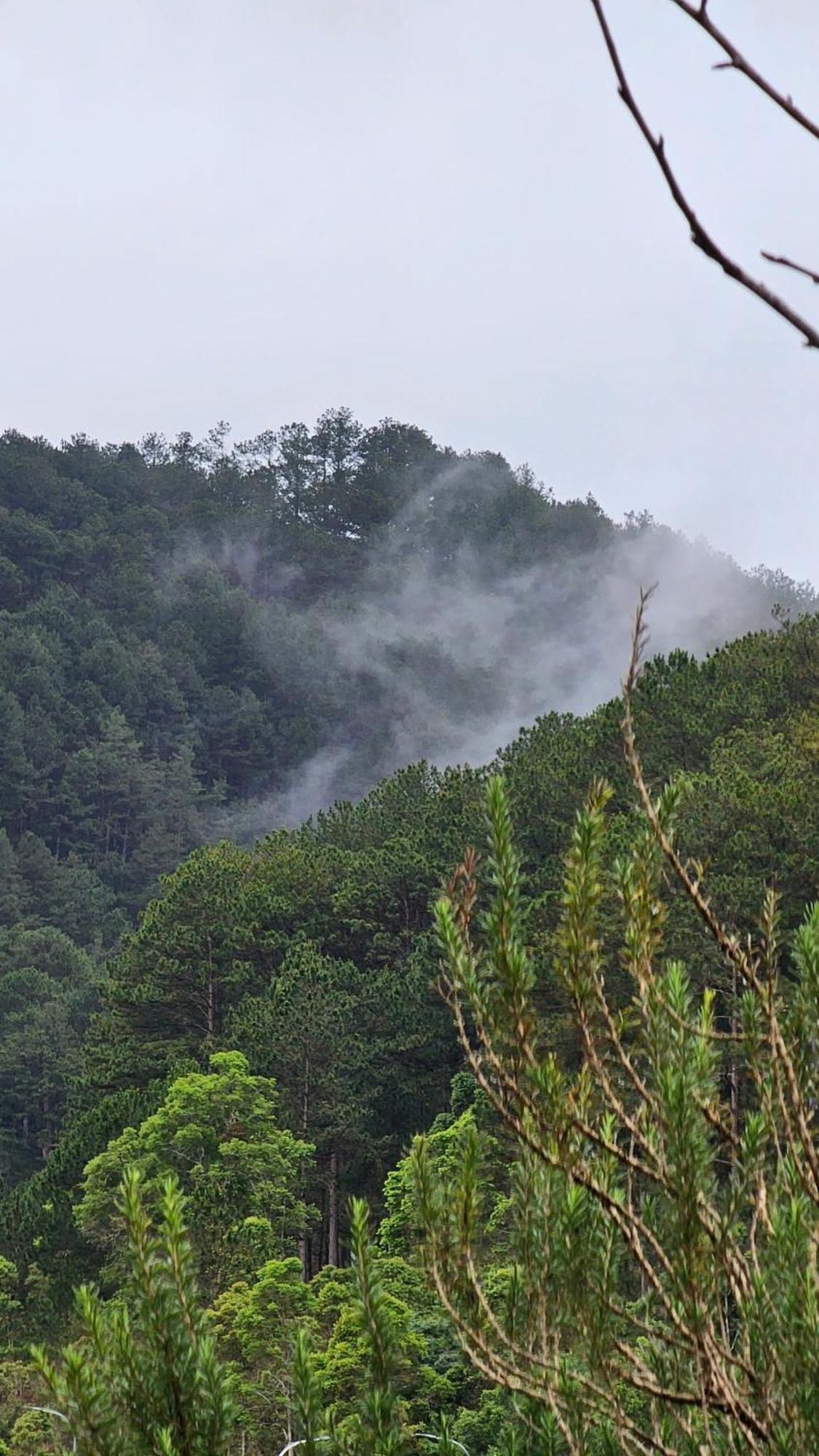 Vuon Nha Cui Homestay Dalat Bagian luar foto