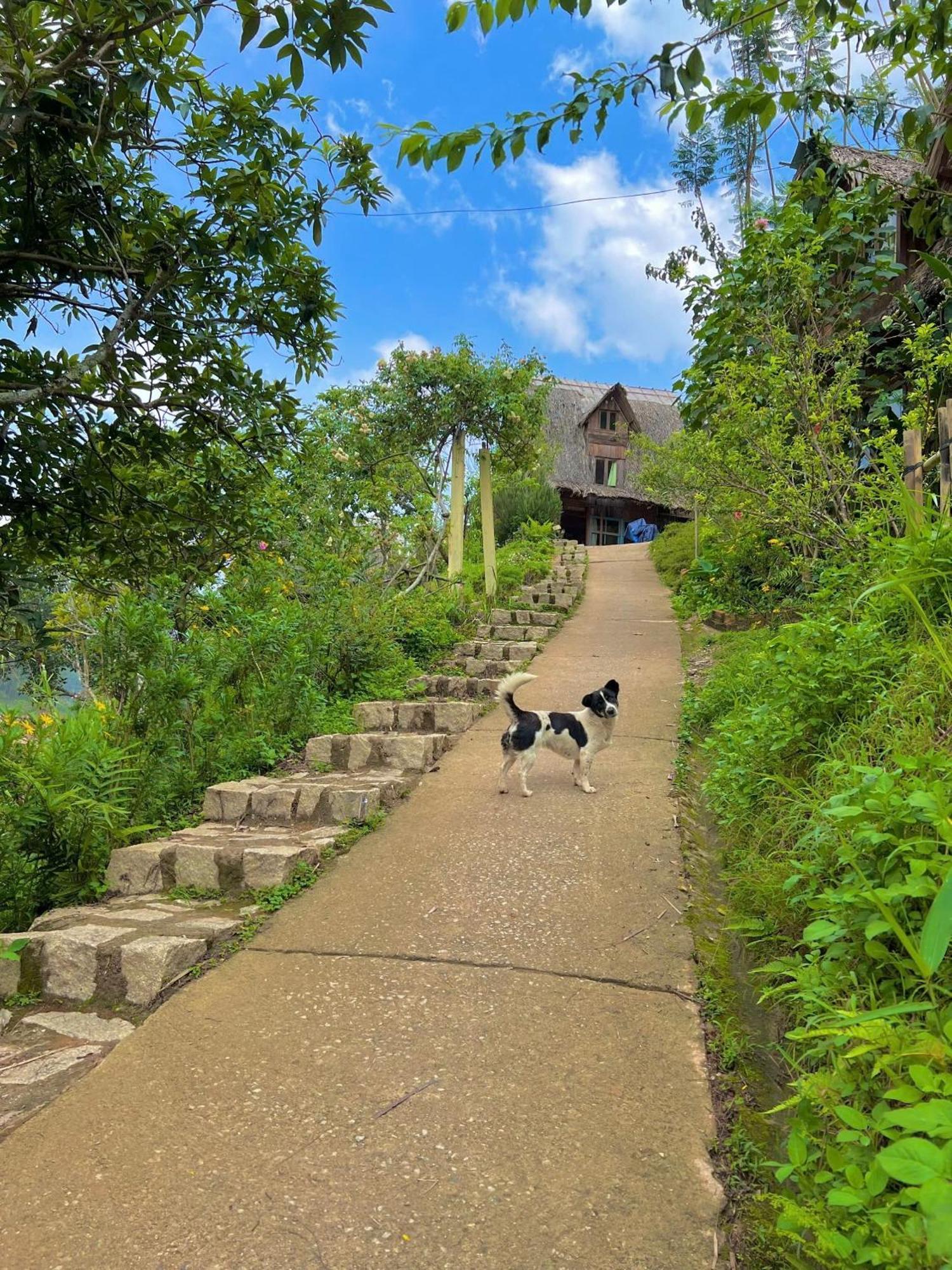 Vuon Nha Cui Homestay Dalat Bagian luar foto