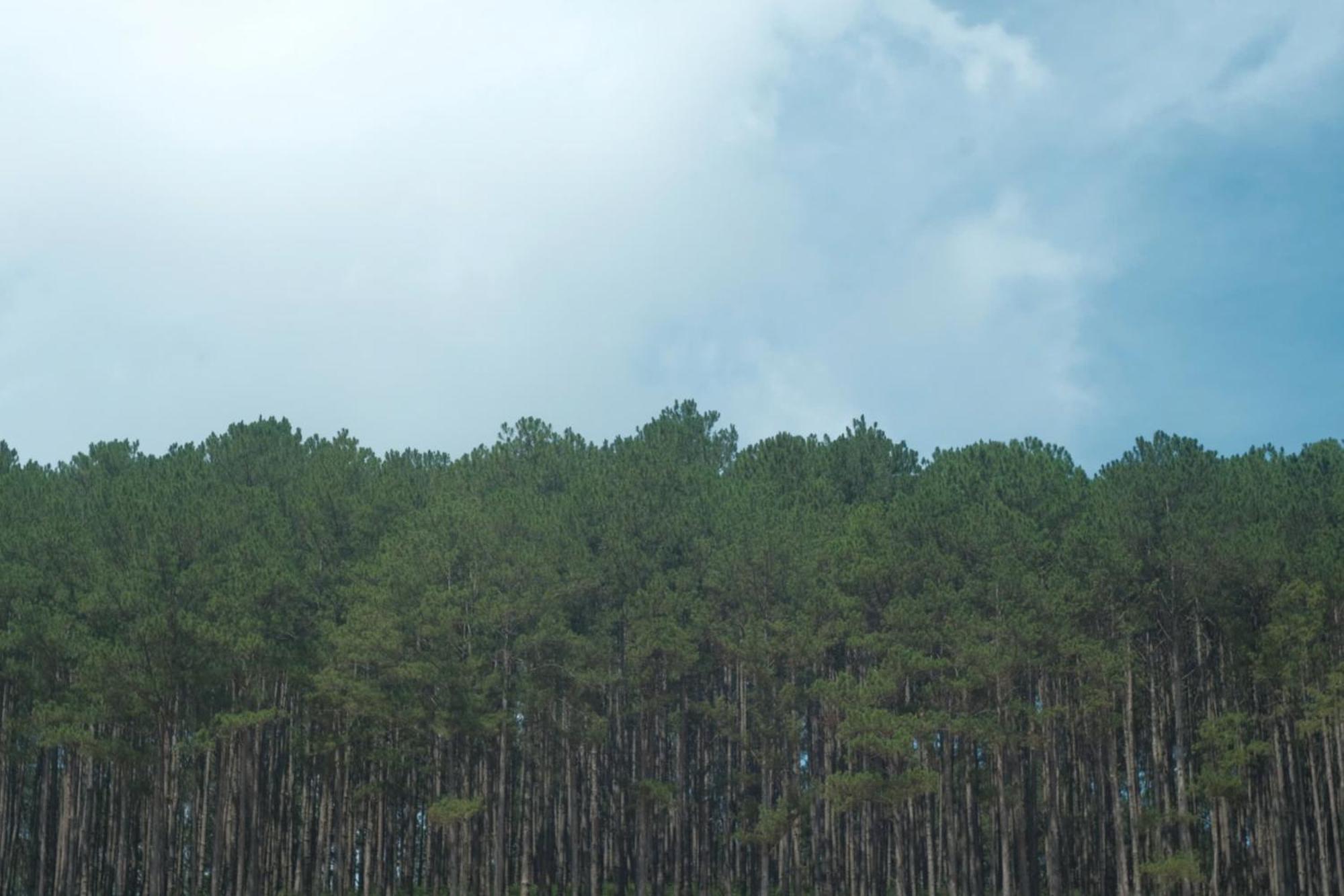 Vuon Nha Cui Homestay Dalat Bagian luar foto